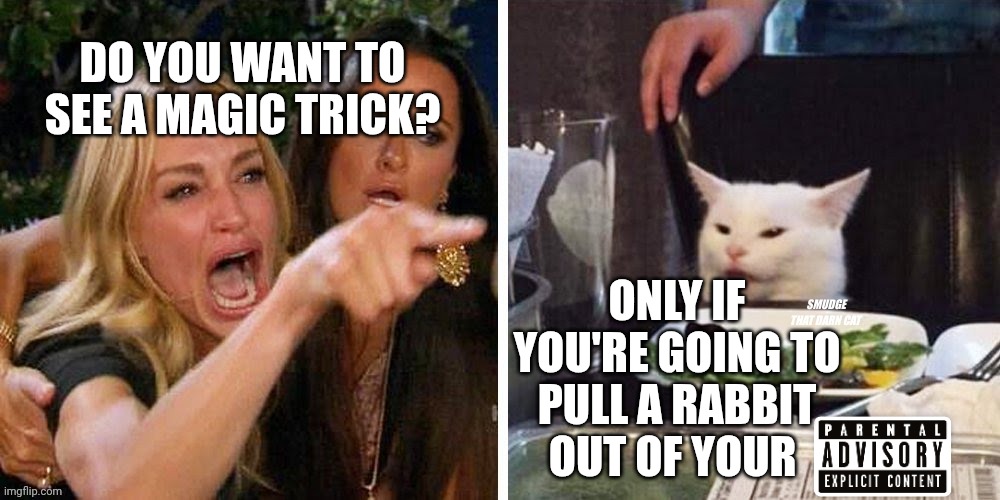 Smudge that darn cat with Karen | DO YOU WANT TO SEE A MAGIC TRICK? ONLY IF YOU'RE GOING TO PULL A RABBIT OUT OF YOUR | image tagged in smudge that darn cat with karen | made w/ Imgflip meme maker
