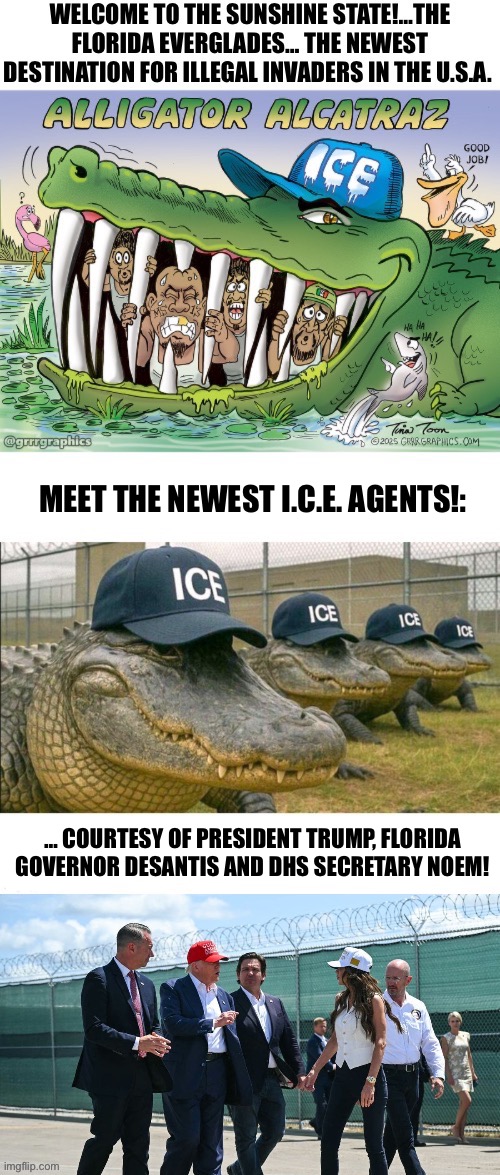 This could be a franchise… | MEET THE NEWEST I.C.E. AGENTS!:; … COURTESY OF PRESIDENT TRUMP, FLORIDA GOVERNOR DESANTIS AND DHS SECRETARY NOEM! | image tagged in political meme,alligator alcatraz,illegal invaders,florida everglades | made w/ Imgflip meme maker