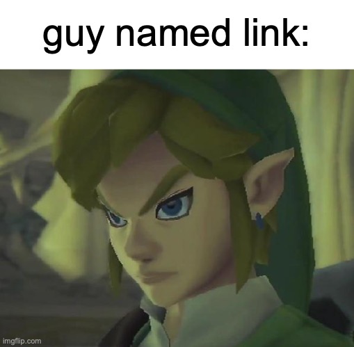 guy named link: | image tagged in angry link | made w/ Imgflip meme maker