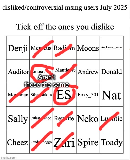 Disliked/controversial msmg users July 2025 | Aren’t these the same | image tagged in disliked/controversial msmg users july 2025,msmg | made w/ Imgflip meme maker
