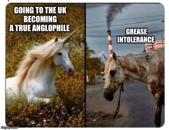 Grease Intolerance Is Painful & Terrible, I Just Wanna Live A Normal Life | GOING TO THE UK
BECOMING A TRUE ANGLOPHILE; GREASE INTOLERANCE | image tagged in unicorn before and after | made w/ Imgflip meme maker