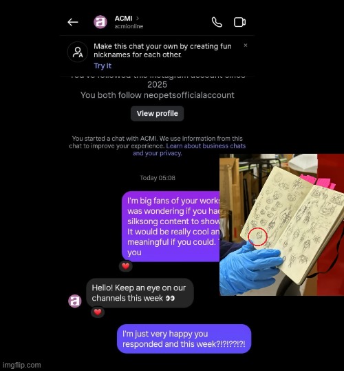 Other recent Silksong stuff | image tagged in silksong | made w/ Imgflip meme maker
