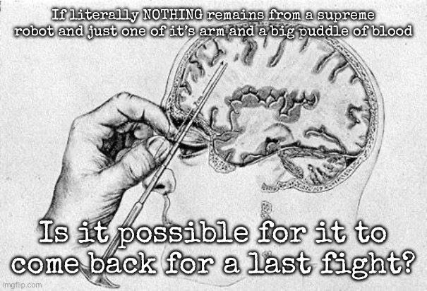 Lobotomy  | If literally NOTHING remains from a supreme robot and just one of it’s arm and a big puddle of blood; Is it possible for it to come back for a last fight? | image tagged in lobotomy,msmg | made w/ Imgflip meme maker
