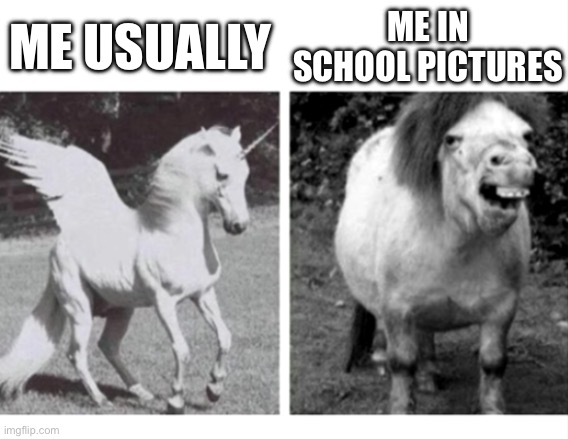 Beautiful Unicorn and Ugly Horse | ME USUALLY; ME IN SCHOOL PICTURES | image tagged in beautiful unicorn and ugly horse | made w/ Imgflip meme maker