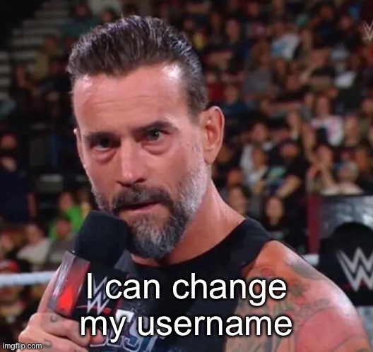 CM Punk | I can change my username | image tagged in cm punk | made w/ Imgflip meme maker