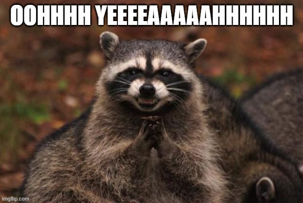 OOHHHH YEEEEAAAAAHHHHHH | image tagged in evil genius racoon | made w/ Imgflip meme maker