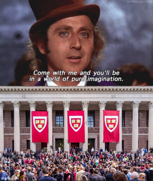 image tagged in willy wonka pure imagination,harvard graduate students | made w/ Imgflip meme maker