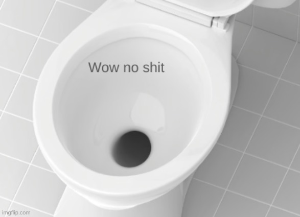 no shit | image tagged in funny | made w/ Imgflip meme maker