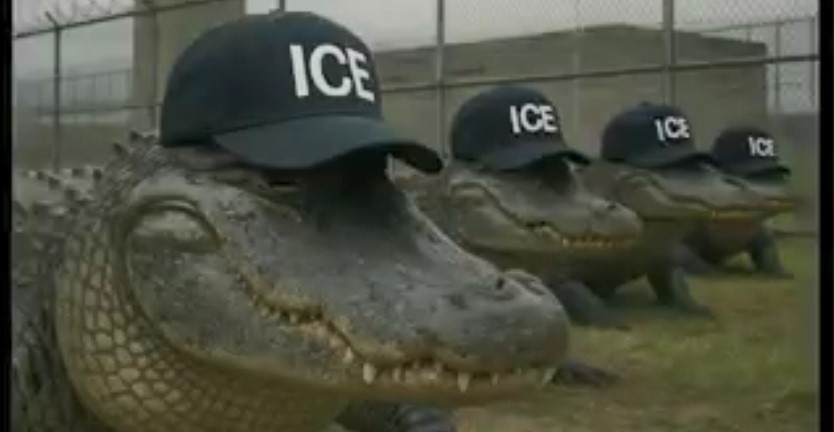 Gator-traz Blank Meme Template