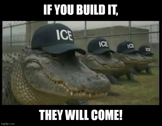 Gators are waiting for that bait! | IF YOU BUILD IT, THEY WILL COME! | image tagged in gator-traz,prison,florida,aligator,memes,funny | made w/ Imgflip meme maker