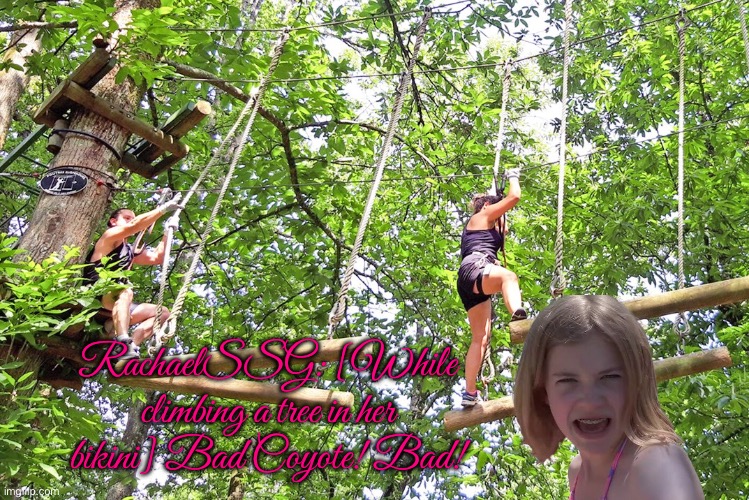 RachaelSSG vs. Coyotes | RachaelSSG: [While climbing a tree in her bikini] Bad Coyote! Bad! | image tagged in coyote,girl,girls,tree,youtube,bikini girls | made w/ Imgflip meme maker