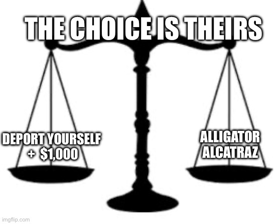 Choose wisely | THE CHOICE IS THEIRS; ALLIGATOR ALCATRAZ; DEPORT YOURSELF  +  $1,000 | image tagged in scales of justice | made w/ Imgflip meme maker