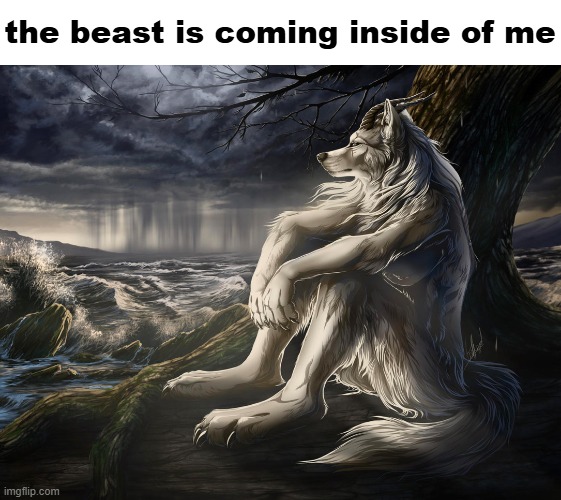 i can feel it | the beast is coming inside of me | image tagged in sitting wolf | made w/ Imgflip meme maker