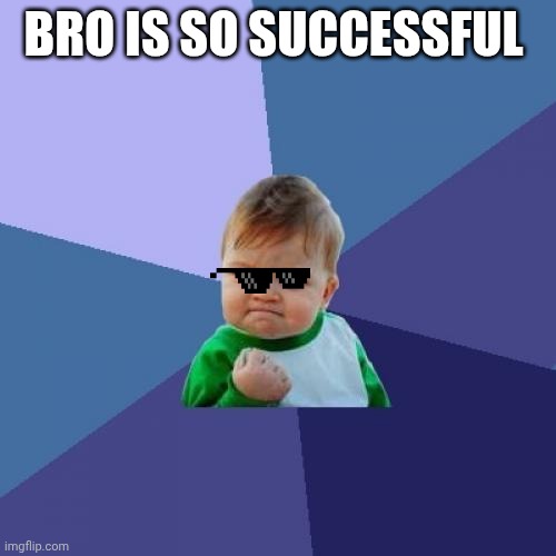 So successful | BRO IS SO SUCCESSFUL | image tagged in memes,success kid | made w/ Imgflip meme maker