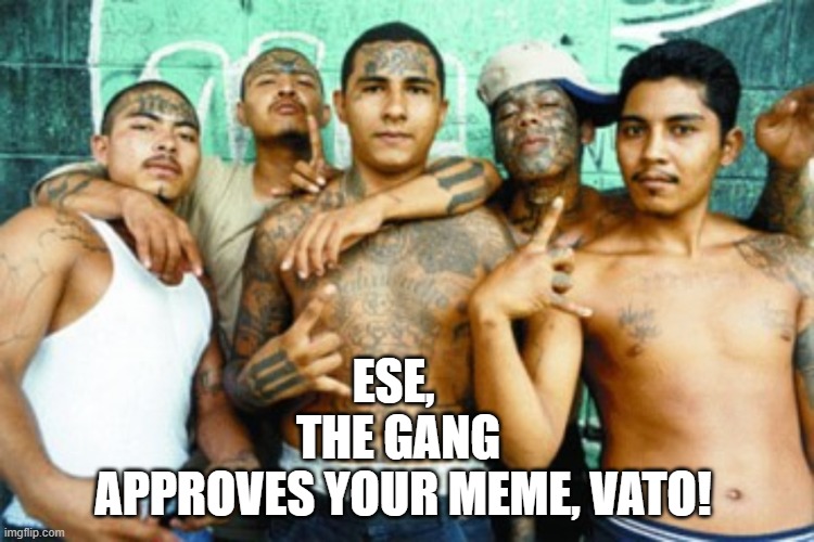 mexican gang members | ESE, 
THE GANG
 APPROVES YOUR MEME, VATO! | image tagged in mexican gang members | made w/ Imgflip meme maker