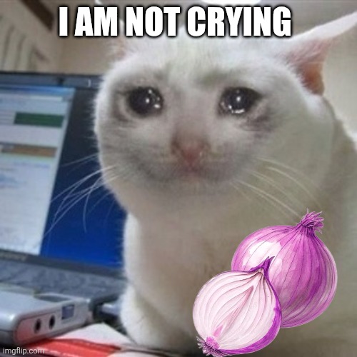 Crying | I AM NOT CRYING | image tagged in crying cat,cry | made w/ Imgflip meme maker