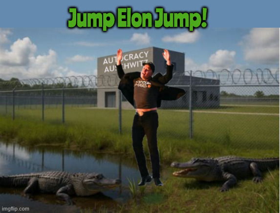 Elon jumping for Trump again | Jump Elon Jump! | image tagged in elon jumping for trump again,musk inmate,sucker,gator food,musk meat | made w/ Imgflip meme maker