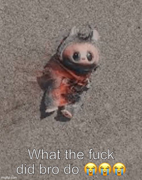 What the fuck did bro do 😭😭😭 | image tagged in mexican cartel,brutality,plush | made w/ Imgflip meme maker