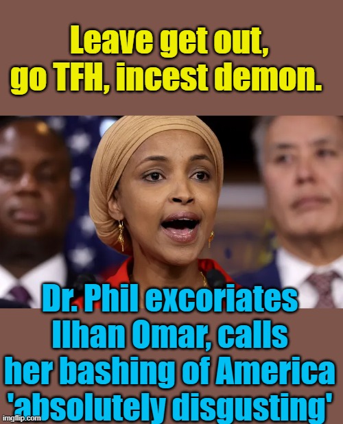 No dual citizenship or Naturalized persons should be allowed in US gov. | Leave get out, go TFH, incest demon. Dr. Phil excoriates Ilhan Omar, calls her bashing of America 'absolutely disgusting' | made w/ Imgflip meme maker
