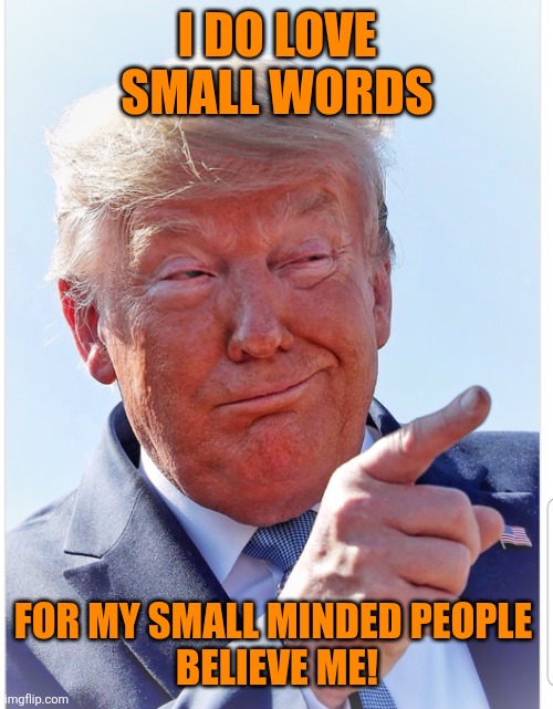 Trump pointing | I DO LOVE SMALL WORDS FOR MY SMALL MINDED PEOPLE 
BELIEVE ME! | image tagged in trump pointing | made w/ Imgflip meme maker