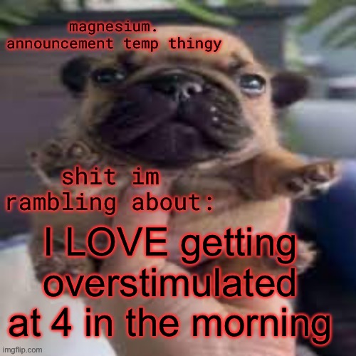 pug temp | I LOVE getting overstimulated at 4 in the morning | image tagged in pug temp | made w/ Imgflip meme maker