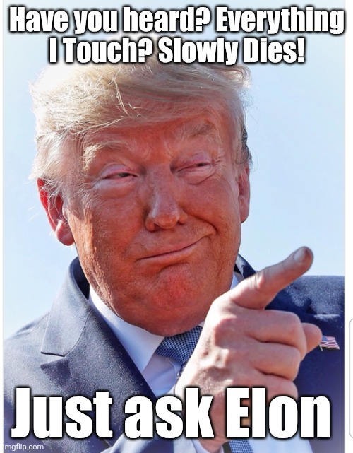 Trump pointing | Have you heard? Everything I Touch? Slowly Dies! Just ask Elon | image tagged in trump pointing | made w/ Imgflip meme maker