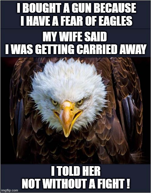 Aetophobia | I BOUGHT A GUN BECAUSE I HAVE A FEAR OF EAGLES; MY WIFE SAID 
I WAS GETTING CARRIED AWAY; I TOLD HER
NOT WITHOUT A FIGHT ! | image tagged in eagles,guns,fight,dark humour | made w/ Imgflip meme maker