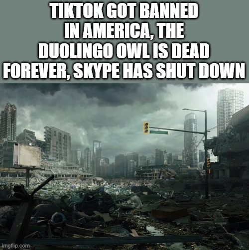 The world of apps is falling apart | TIKTOK GOT BANNED IN AMERICA, THE DUOLINGO OWL IS DEAD FOREVER, SKYPE HAS SHUT DOWN | image tagged in society if opposite | made w/ Imgflip meme maker