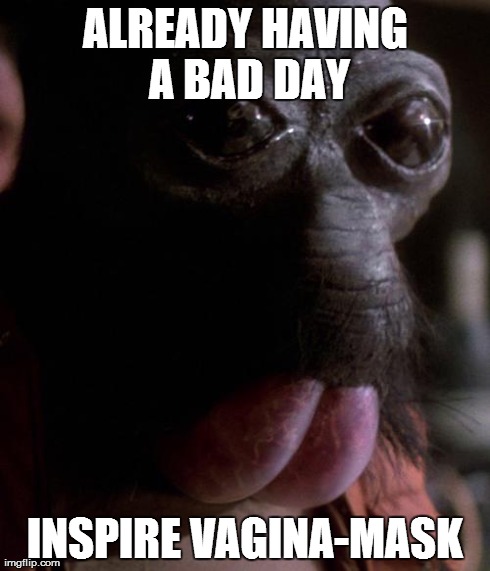 ALREADY HAVING A BAD DAY INSPIRE VA**NA-MASK | image tagged in bad day ponda baba | made w/ Imgflip meme maker