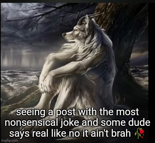 sad alpha wolf | seeing a post with the most nonsensical joke and some dude says real like no it ain't brah 🥀 | image tagged in sad alpha wolf | made w/ Imgflip meme maker
