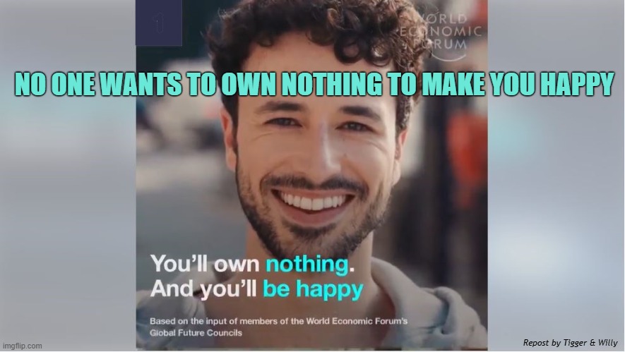 NO ONE WANTS TO OWN NOTHING TO MAKE YOU HAPPY; Repost by Tigger & Willy | made w/ Imgflip meme maker