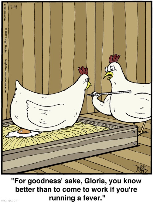 Rubes | image tagged in comics,rubes,chickens,fried egg | made w/ Imgflip meme maker
