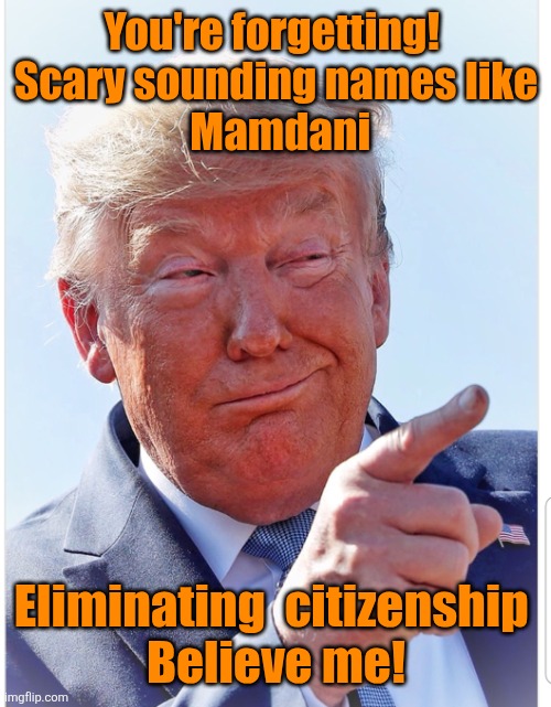 Trump pointing | You're forgetting! 
Scary sounding names like
 Mamdani Eliminating  citizenship 
Believe me! | image tagged in trump pointing | made w/ Imgflip meme maker