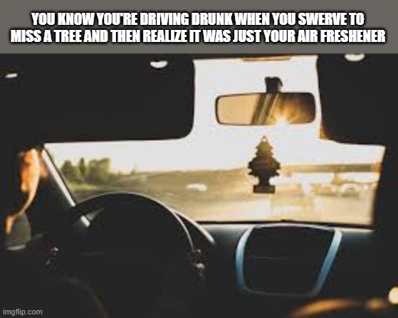 You're drunk when you swerve to miss a tree and it's only your mirror air freshener. | YOU KNOW YOU'RE DRIVING DRUNK WHEN YOU SWERVE TO MISS A TREE AND THEN REALIZE IT WAS JUST YOUR AIR FRESHENER | image tagged in funny,drunk,humor,play on words,bad driver | made w/ Imgflip meme maker