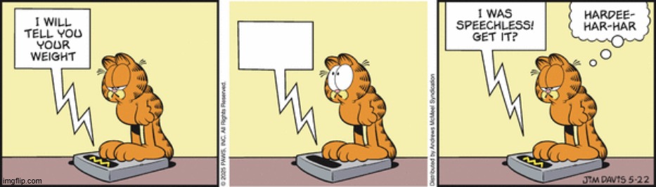 Garfield | image tagged in comics | made w/ Imgflip meme maker