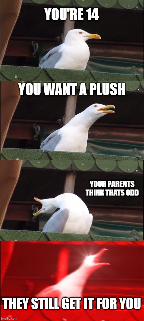 Inhaling Seagull Meme | YOU'RE 14; YOU WANT A PLUSH; YOUR PARENTS THINK THATS ODD; THEY STILL GET IT FOR YOU | image tagged in memes,inhaling seagull | made w/ Imgflip meme maker
