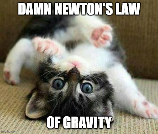 Newton Laws | DAMN NEWTON'S LAW; OF GRAVITY | image tagged in kitten fall | made w/ Imgflip meme maker