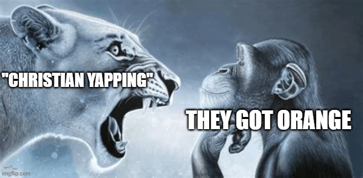 tiger yell at pondering monkey | THEY GOT ORANGE "CHRISTIAN YAPPING" | image tagged in tiger yell at pondering monkey | made w/ Imgflip meme maker