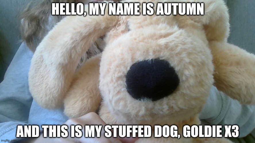 Hello | HELLO, MY NAME IS AUTUMN; AND THIS IS MY STUFFED DOG, GOLDIE X3 | image tagged in goldie,welcome | made w/ Imgflip meme maker