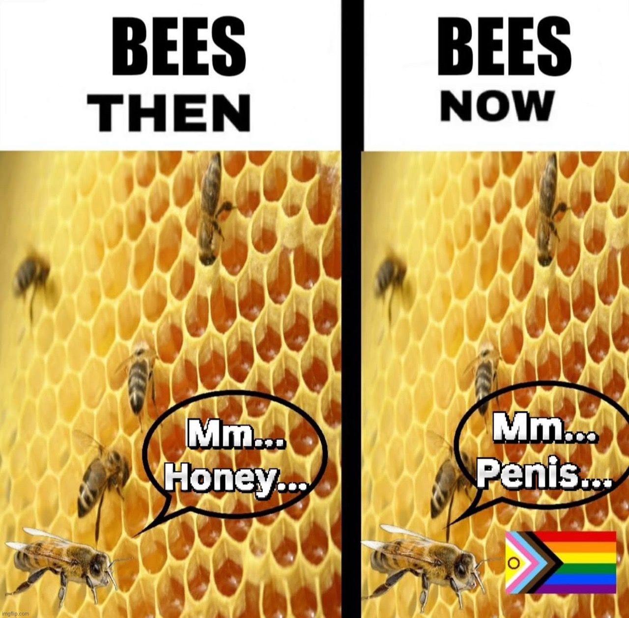 WOKE bees | made w/ Imgflip meme maker