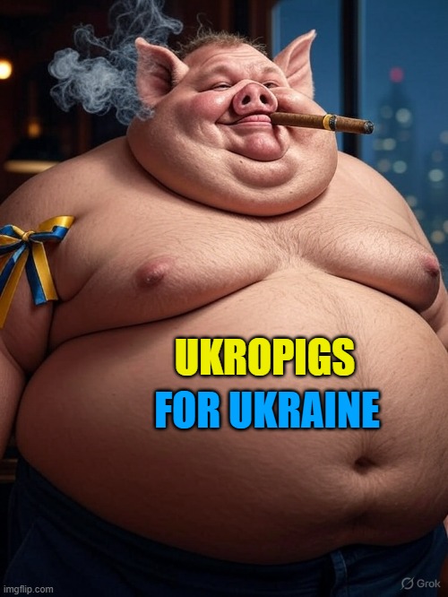 Donkeys are nice | UKROPIGS; FOR UKRAINE | image tagged in pig | made w/ Imgflip meme maker