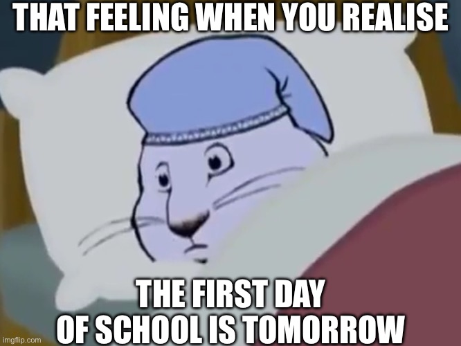 NOOOOOOOO | THAT FEELING WHEN YOU REALISE; THE FIRST DAY OF SCHOOL IS TOMORROW | image tagged in max is awake,school,that feeling when,oh no | made w/ Imgflip meme maker