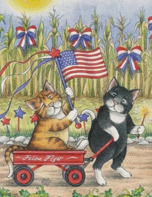 Here’s to a purr-fect 4th of July… | image tagged in cats,4th of july,red white and blue | made w/ Imgflip meme maker