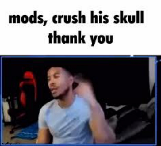 Mods, crush his skull. Thank you. | image tagged in mods crush his skull thank you | made w/ Imgflip meme maker