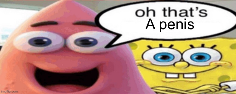 oh that's | A penis | image tagged in oh that's | made w/ Imgflip meme maker