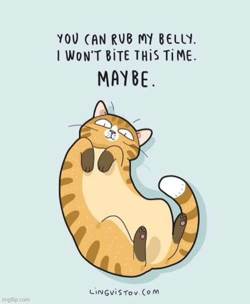 There’s probably a 50-50 chance that there will be biting involved… | image tagged in cats,comics,belly rub | made w/ Imgflip meme maker