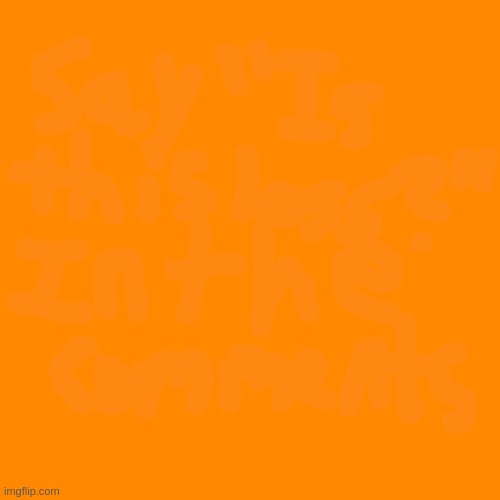orange | image tagged in orange | made w/ Imgflip meme maker