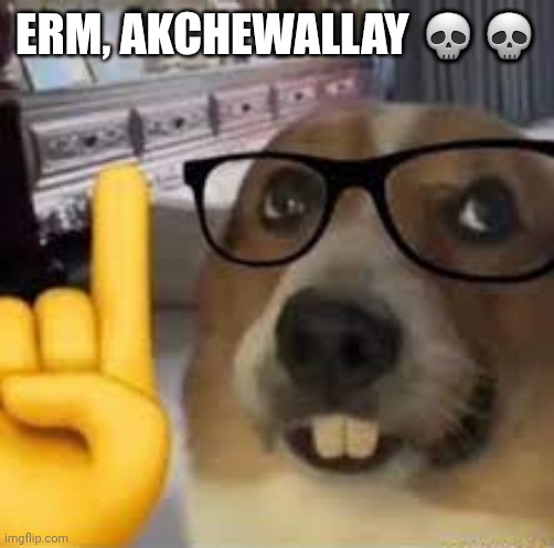 nerd dog | ERM, AKCHEWALLAY ?? | image tagged in nerd dog | made w/ Imgflip meme maker
