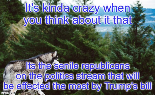 Big Ugly Bill, as it should be called | It's kinda crazy when you think about it that; Its the senile republicans on the politics stream that will be effected the most by Trump's bill | image tagged in husky | made w/ Imgflip meme maker
