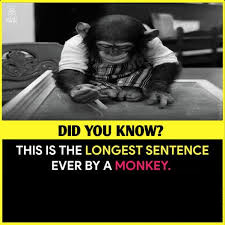 Longest sentence by monkey Blank Meme Template
